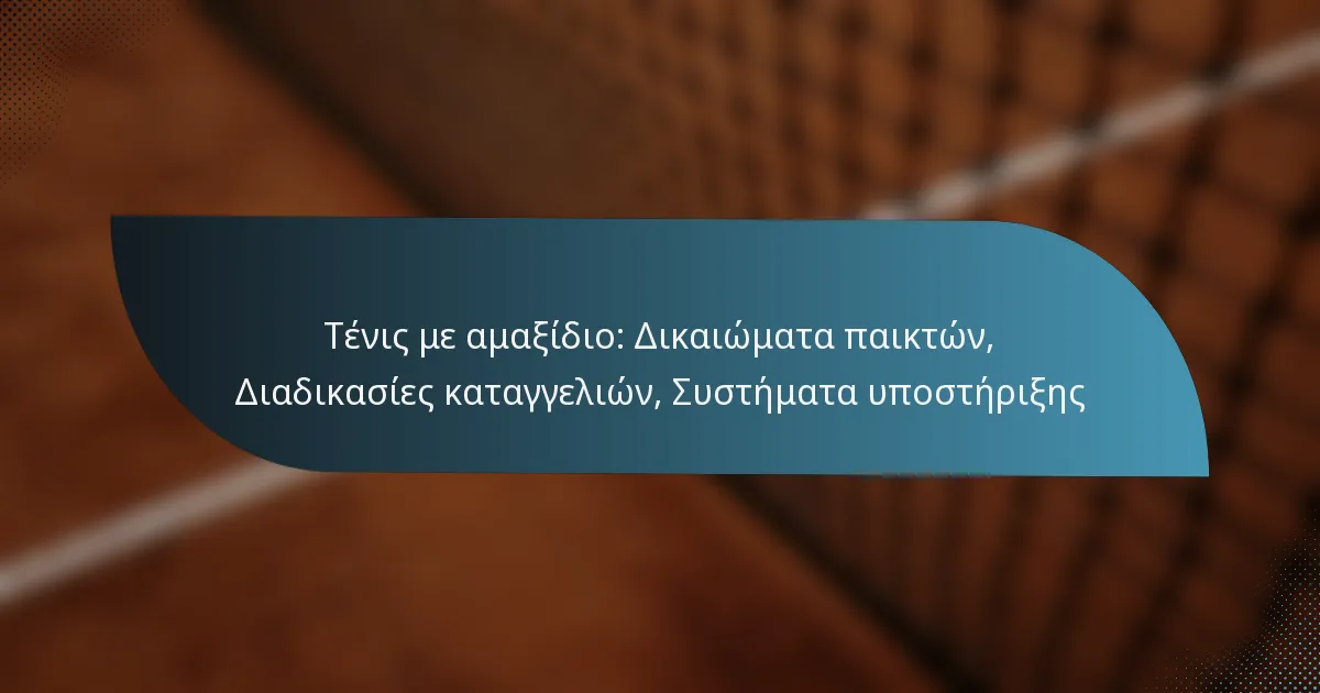 Τένις με αμαξίδιο: Δικαιώματα παικτών, Διαδικασίες καταγγελιών, Συστήματα υποστήριξης