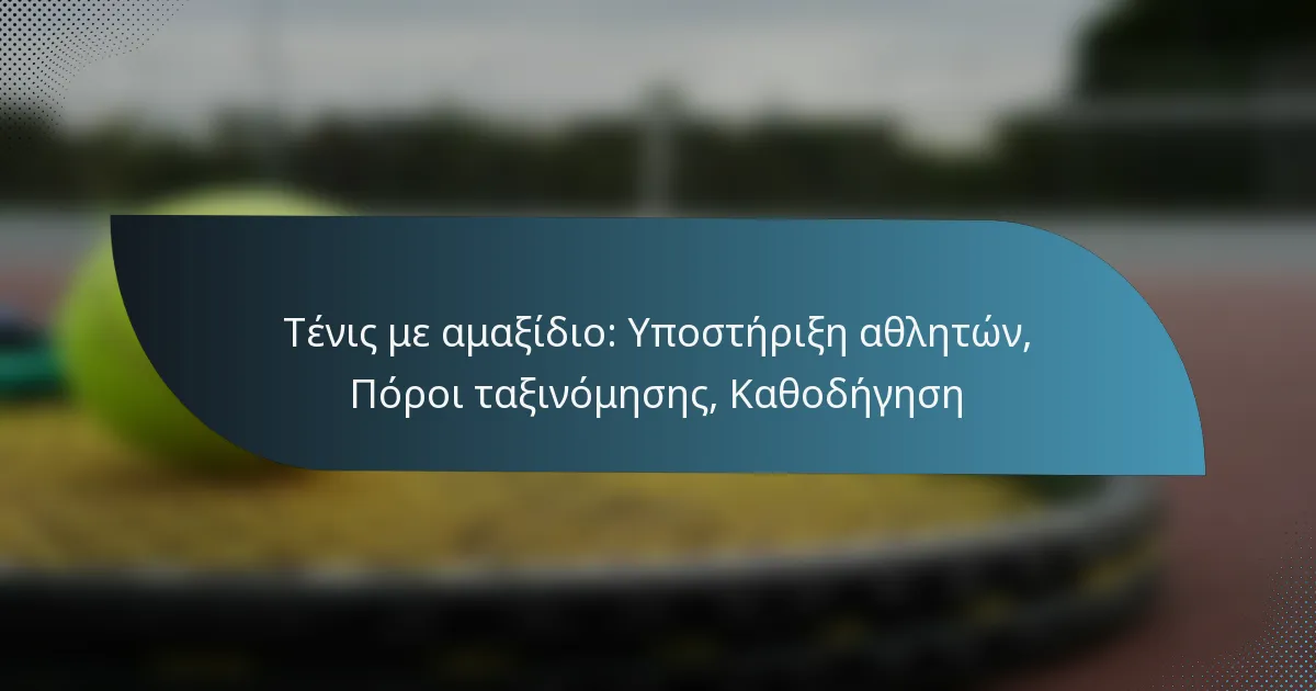 Τένις με αμαξίδιο: Υποστήριξη αθλητών, Πόροι ταξινόμησης, Καθοδήγηση
