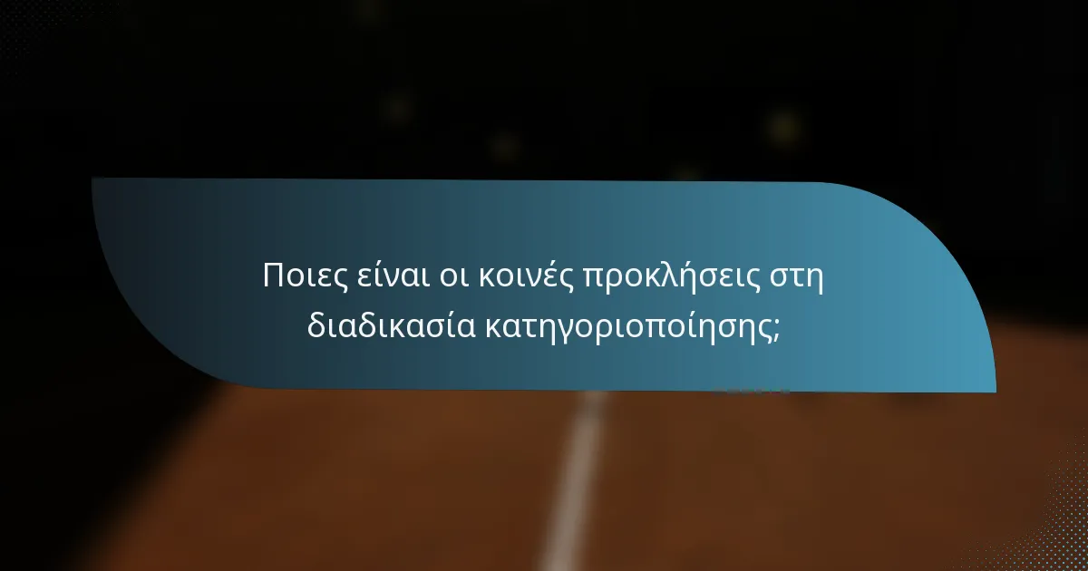 Ποιες είναι οι κοινές προκλήσεις στη διαδικασία κατηγοριοποίησης;
